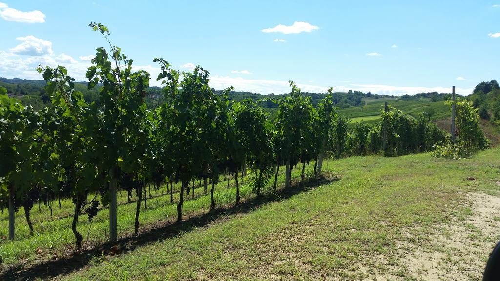 Cascina Rollone Villa Rocchetta Tanaro Luaran gambar