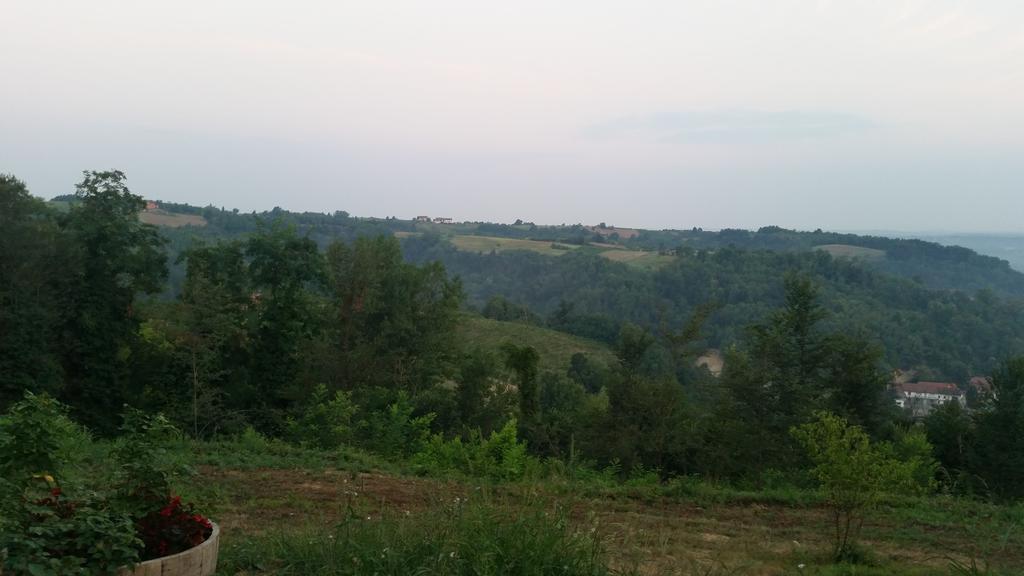 Cascina Rollone Villa Rocchetta Tanaro Luaran gambar